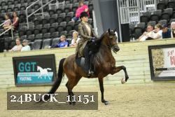 24BUCK_11151 proof