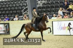 24BUCK_11152 proof