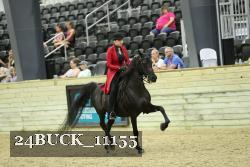24BUCK_11155 proof
