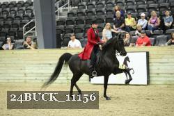 24BUCK_11156 proof
