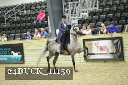 24BUCK_11159 proof