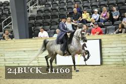 24BUCK_11160 proof