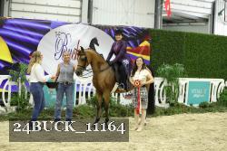 24BUCK_11164 proof