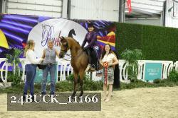 24BUCK_11166 proof