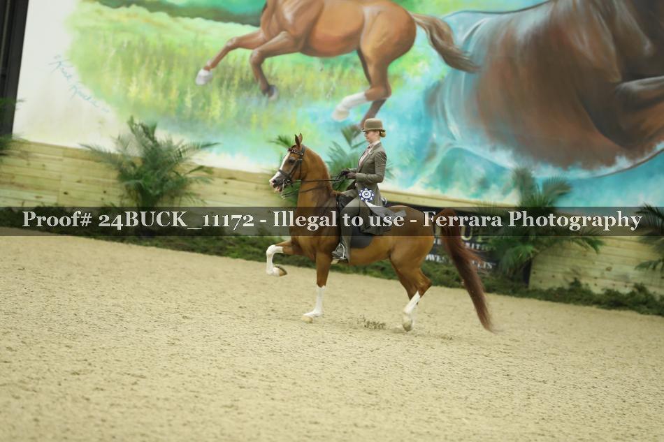 Proof 24BUCK_11172