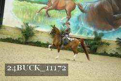 24BUCK_11172 proof
