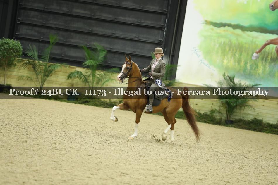 Proof 24BUCK_11173