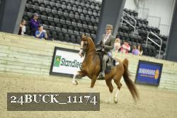 24BUCK_11174 proof