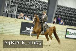 24BUCK_11175 proof