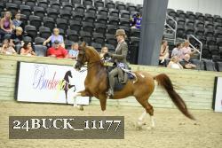 24BUCK_11177 proof