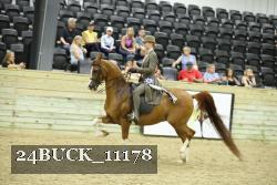 24BUCK_11178 proof