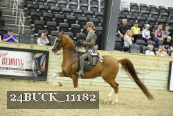 24BUCK_11182 proof