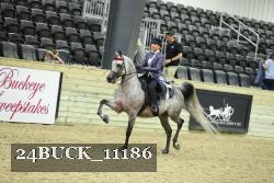 24BUCK_11186 proof