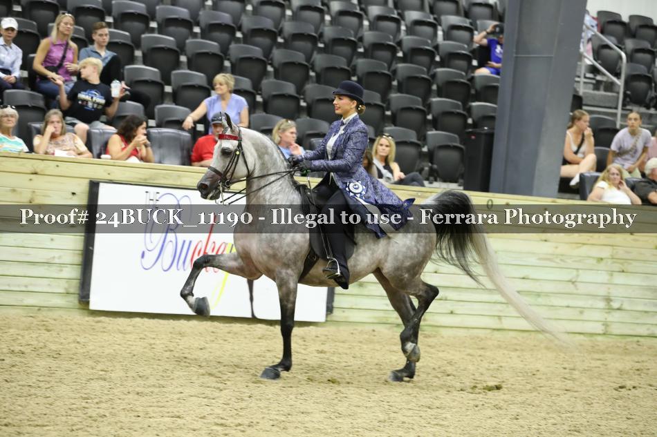 Proof 24BUCK_11190