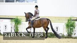 24BUCK_11258 proof
