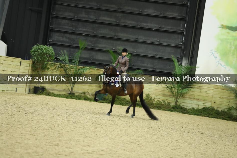 Proof 24BUCK_11262