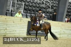 24BUCK_11264 proof