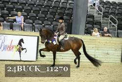 24BUCK_11270 proof
