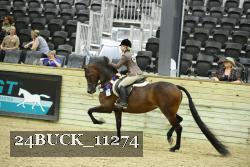 24BUCK_11274 proof