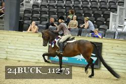 24BUCK_11275 proof