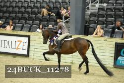24BUCK_11278 proof