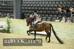 24BUCK_11279 proof