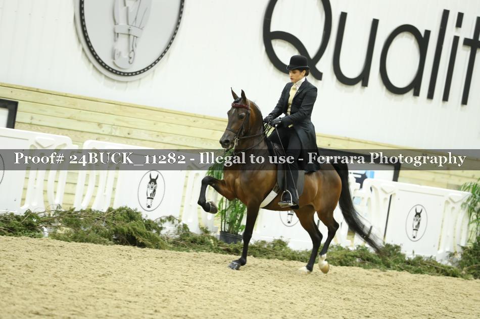 Proof 24BUCK_11282