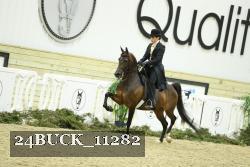 24BUCK_11282 proof