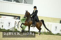 24BUCK_11284 proof