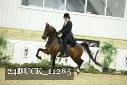 24BUCK_11285 proof