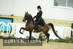 24BUCK_11286 proof