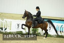 24BUCK_11287 proof