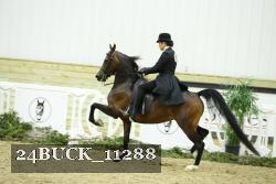 24BUCK_11288 proof