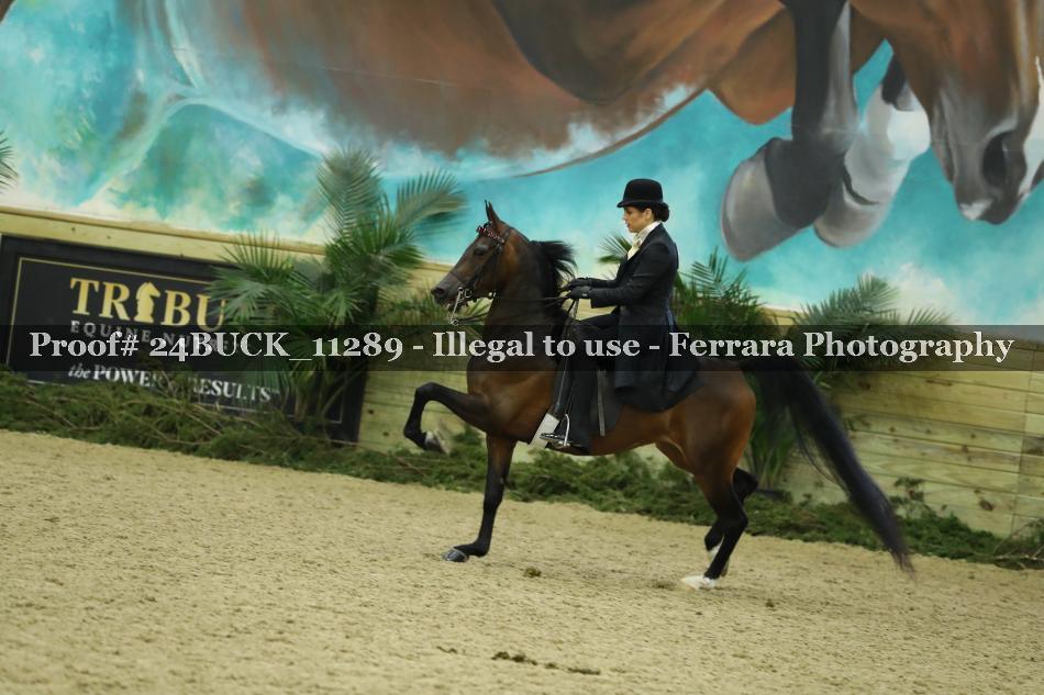 Proof 24BUCK_11289