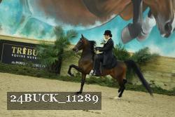 24BUCK_11289 proof