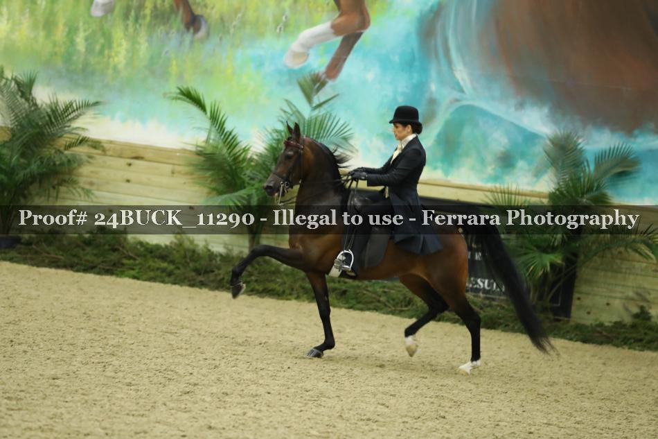 Proof 24BUCK_11290