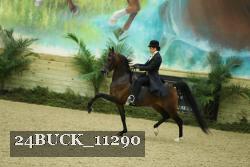 24BUCK_11290 proof