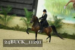 24BUCK_11291 proof