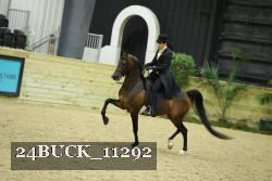 24BUCK_11292 proof