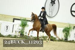 24BUCK_11293 proof