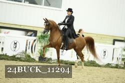 24BUCK_11294 proof