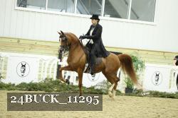 24BUCK_11295 proof