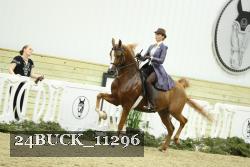 24BUCK_11296 proof