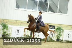 24BUCK_11299 proof