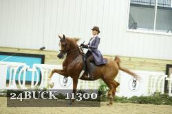 24BUCK_11300 proof