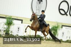 24BUCK_11302 proof