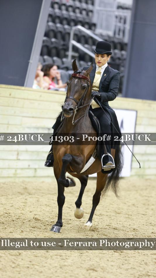 Proof 24BUCK_11303