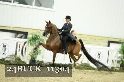 24BUCK_11304 proof