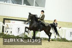 24BUCK_11305 proof