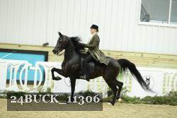 24BUCK_11306 proof